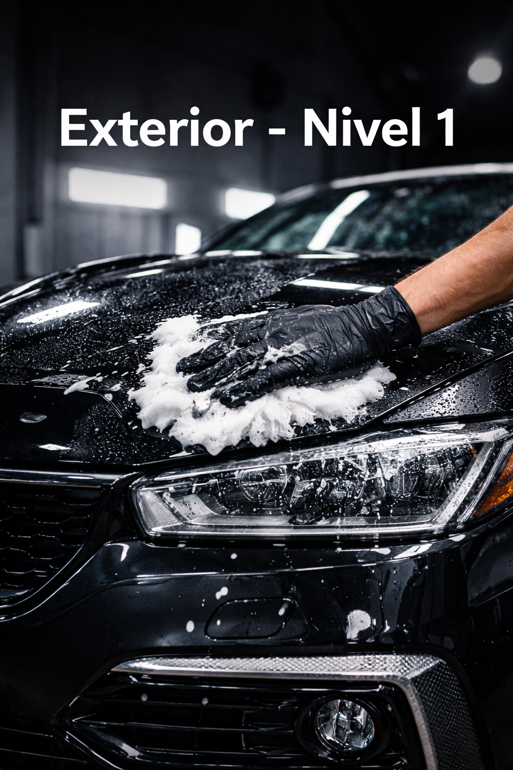 Lavado Exterior Nivel 1