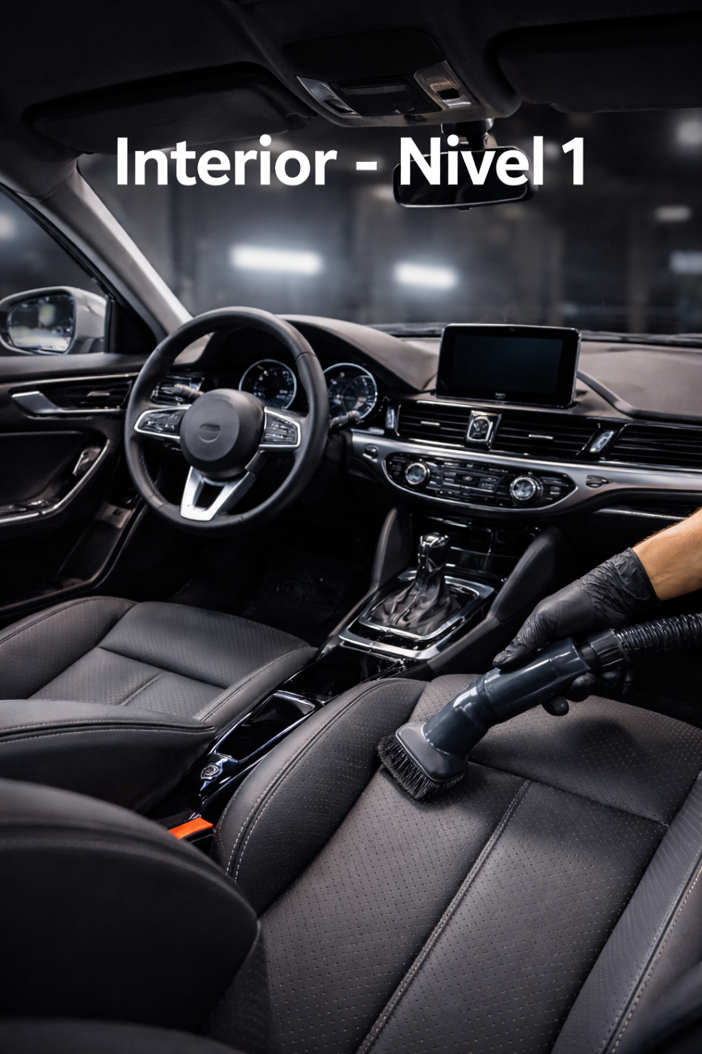 Limpieza Interior Nivel 1