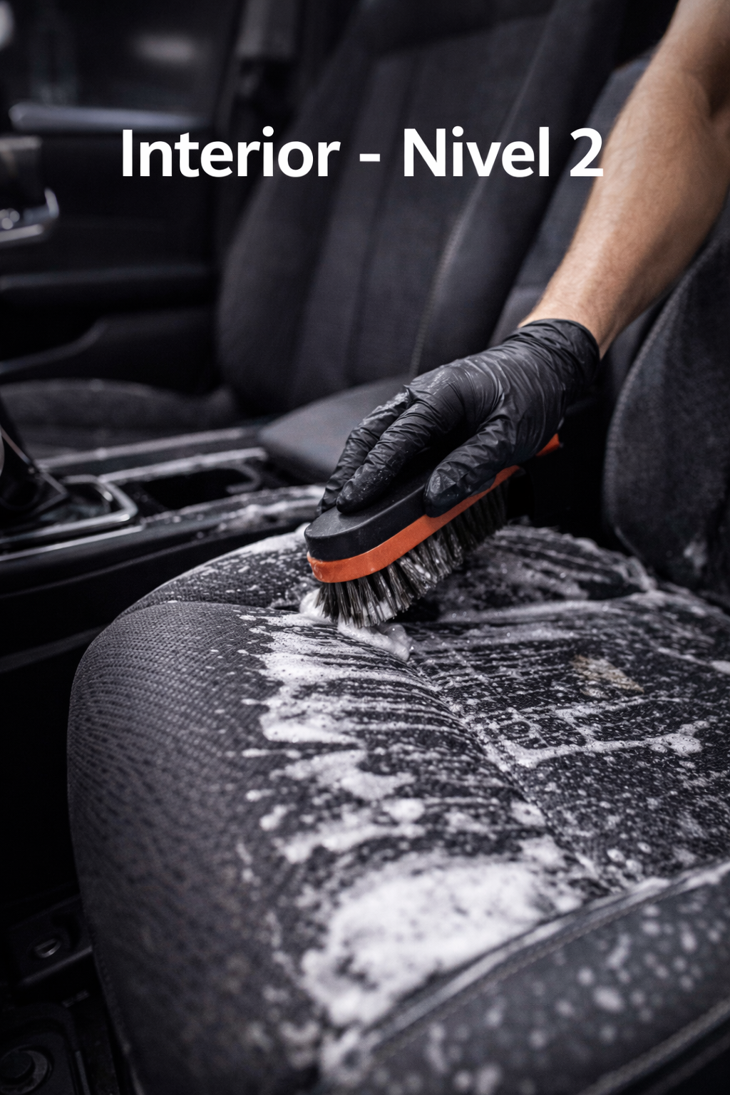 Limpieza Interior Nivel 2